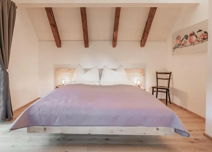 Xeishittn Vogelnest *